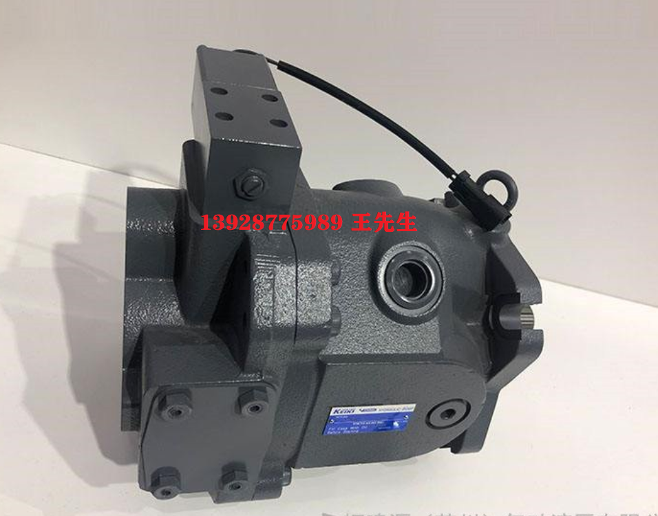 P21VMR-10-CMC-20-S121B-J東京計(jì)器柱塞泵