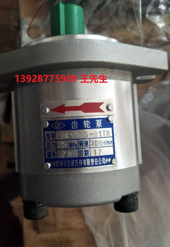 長江CMK1系列齒輪馬達(dá)