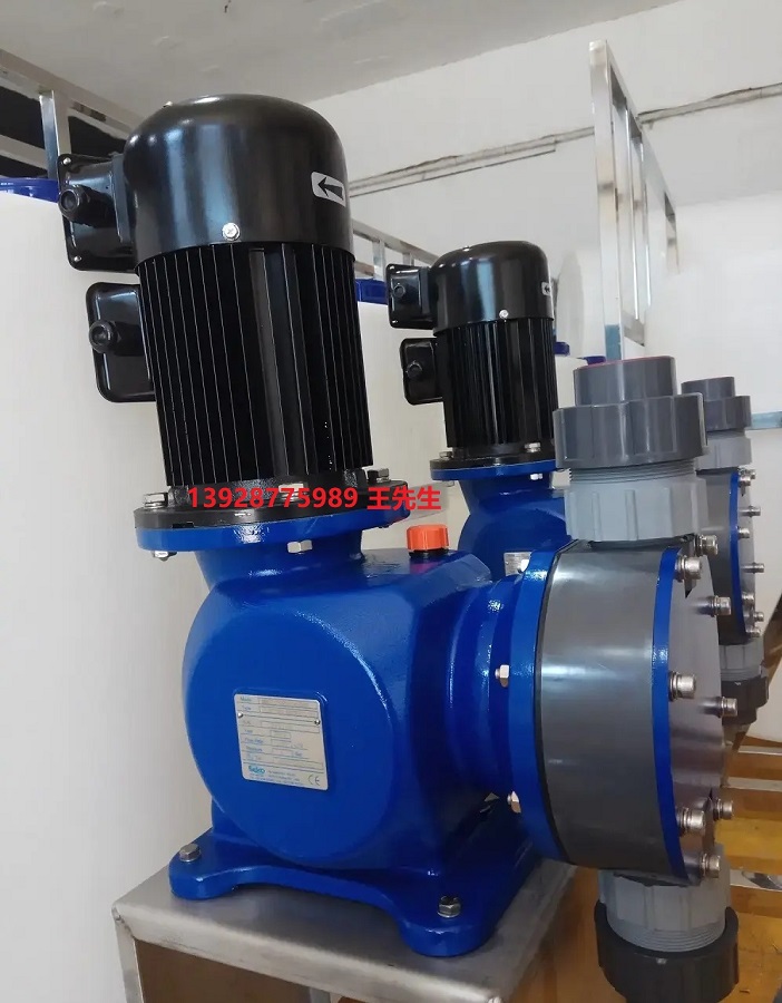 seko賽高柱塞計(jì)量泵