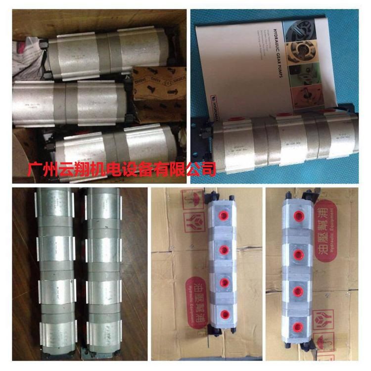 臺(tái)灣新鴻HYDROMAX同步分流馬達(dá)