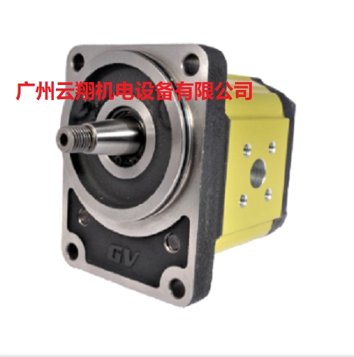 意大利VIVOLO液壓泵G2P4141FSRA