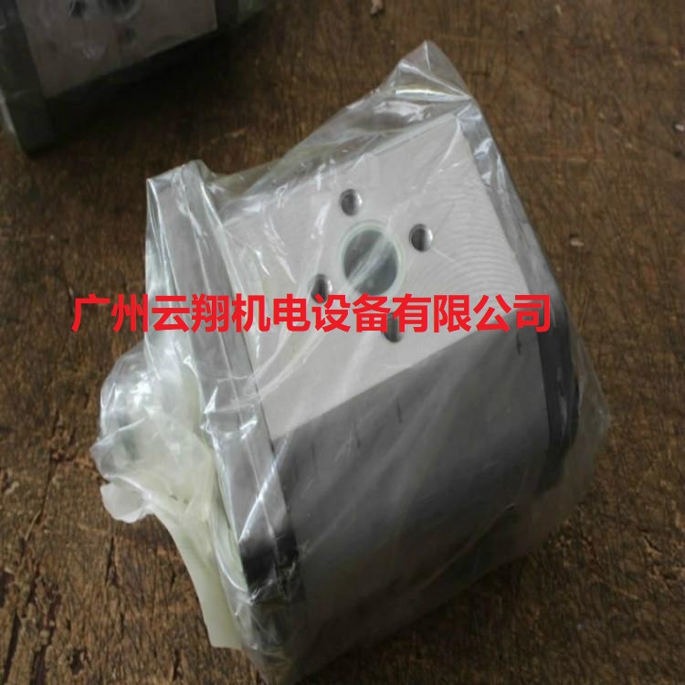 ALP1-D-2馬祖奇齒輪泵