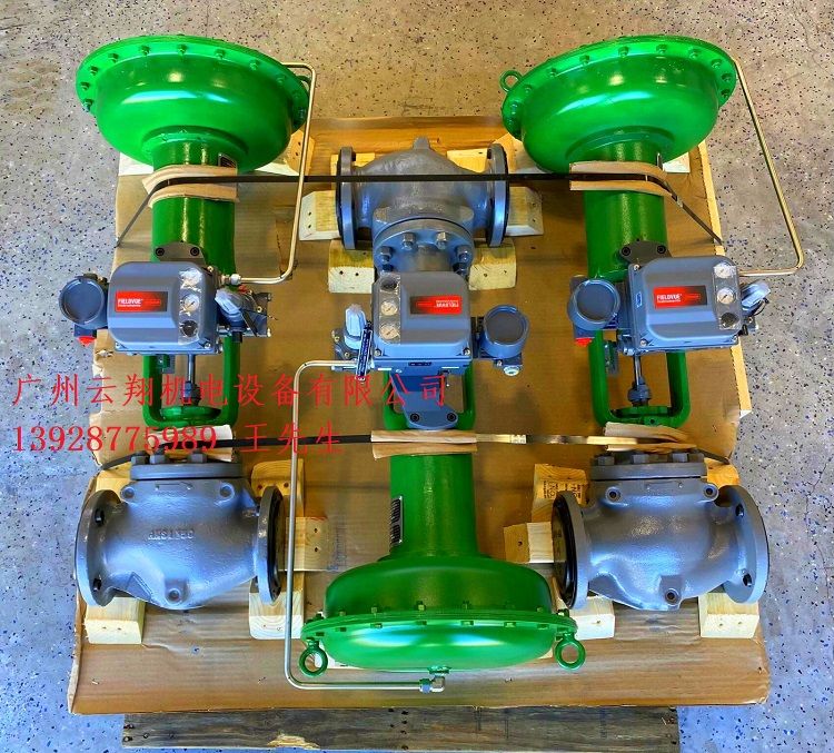 費希爾閥門定位器 DVC6020F-SCAD