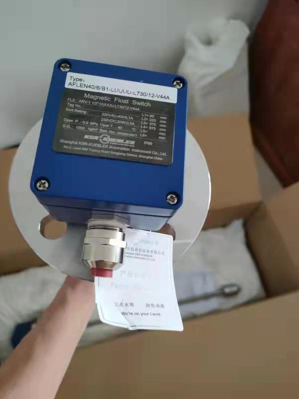 KSR 液位開關AFLEN40 6 B1-LUUUU-L 730 12-V44A