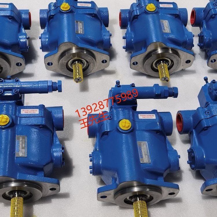 威格士柱塞泵PVH057R01AA10A250000002001AB010A現(xiàn)貨  伊頓安全閥CG5V6GWDVMUH711 CG5v8GW0FMUH760 CG5V8GWDMUH711  伊頓安全閥CG5V6GWDVMUH711 CG5v8GW0FMUH760 CG5V8GWDMUH711