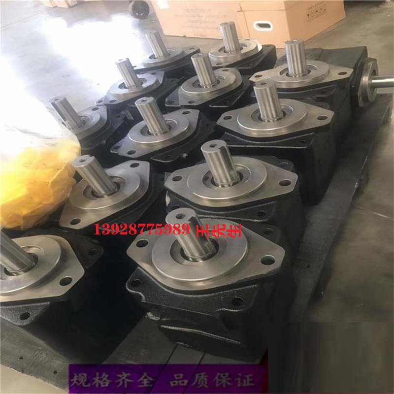 伊頓壓力閥DGMC-3-PT-GW-41 DGMC-3-PT-BW-B-41 DGMC3PTGW41  單向閥現(xiàn)貨CV11-12-P-0-5 CV11-16-P-0-5 CV1-16-P-0-5 CV18A2020N  單向閥現(xiàn)貨CV11-12-P-0-5 CV11-16-P-0-5 CV1-16-P-0-5 CV18A2020N