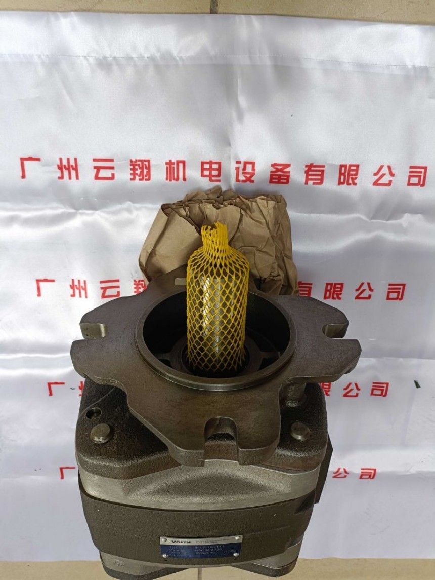 Voith福伊特IPVP5-40-111 Voith福伊特IPVP5-50-101 Voith福伊特IPVP5-50-111