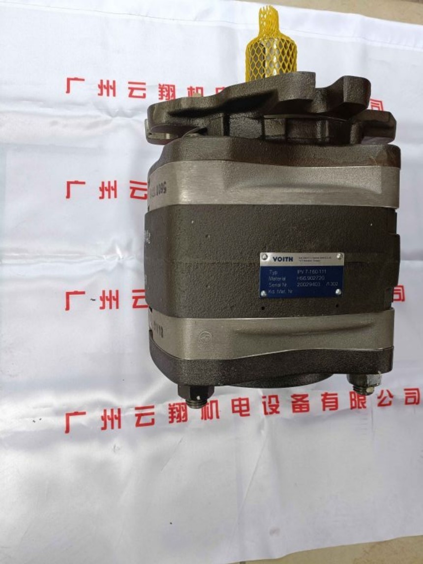 Voith福伊特IPVP6-100-101 Voith福伊特IPVP6-100-111 Voith福伊特IPVP6-125-101