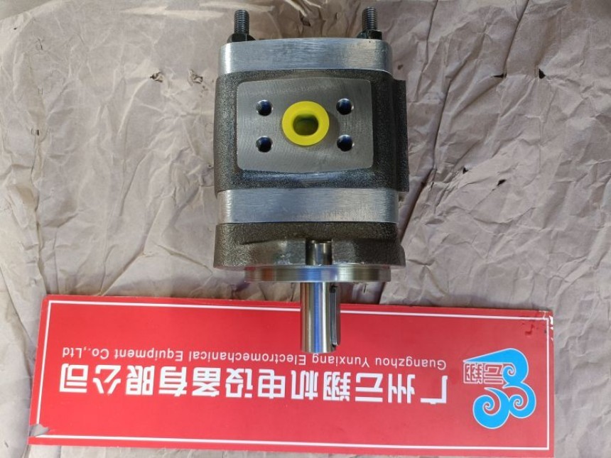 Voith福伊特IPV5-40-111 Voith福伊特IPV5-50-101 Voith福伊特IPV5-50-111