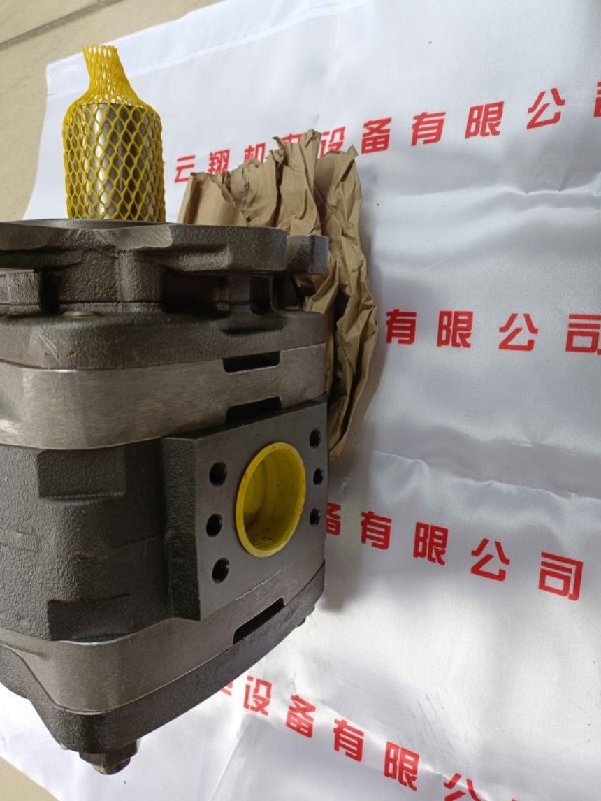 IPVP5-40-111福伊特齒輪泵 IPVP5-50-101福伊特齒輪泵 IPVP5-50-111福伊特齒輪泵