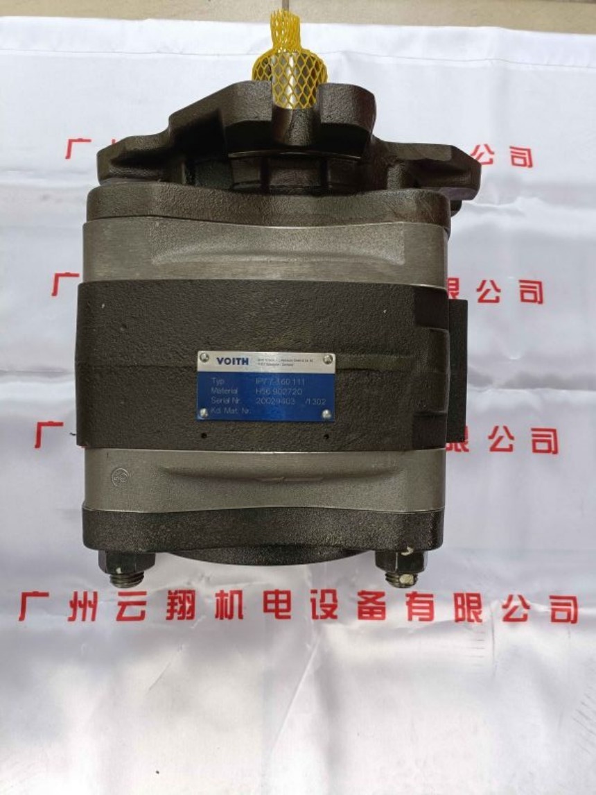 IPVP6-100-101福伊特齒輪泵 IPVP6-100-111福伊特齒輪泵 Voith福伊特齒輪泵