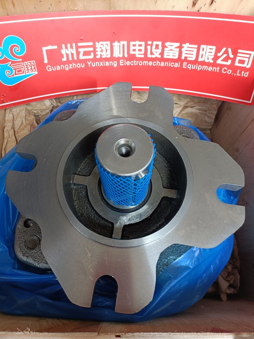 福伊特齒輪泵IPVS5-50-101 福伊特齒輪泵IPVS5-50-111 福伊特齒輪泵IPVS5-64-101