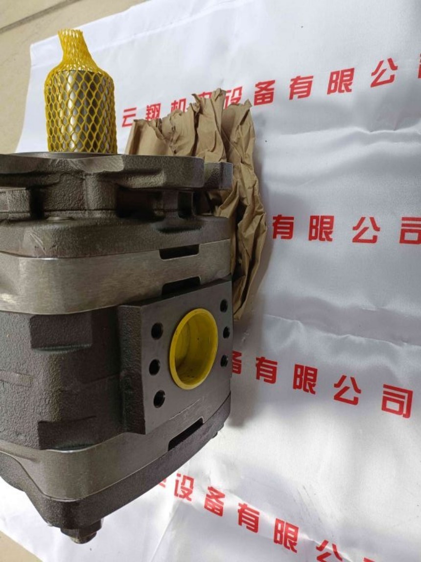 福伊特齒輪泵IPVS5-40-101 福伊特齒輪泵IPVS5-40-111 福伊特齒輪泵IPVS5-50-101