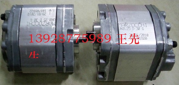 ALP2A-D-13-FG馬祖奇齒輪泵，