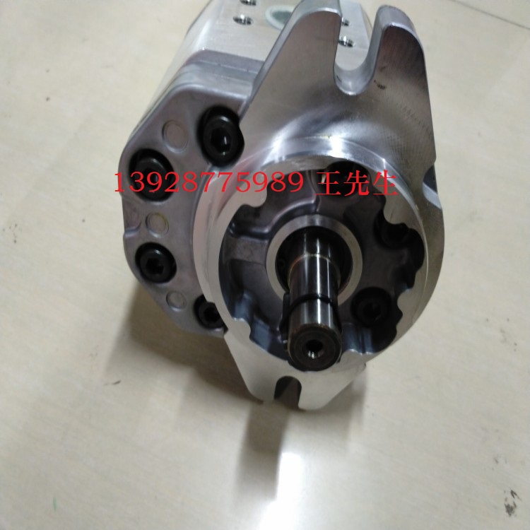 馬祖奇雙聯(lián)齒輪泵ALP1A-D-20-FG-V